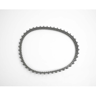 Courroie C pour robot Raptor - 58481 et Saphyr - 10289 - avant 2023