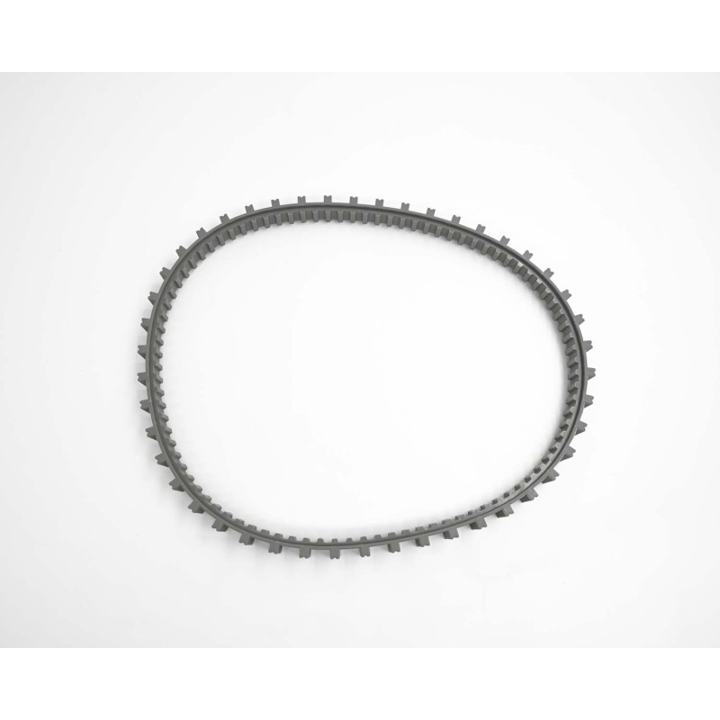 Courroie C pour robot RAPTOR 58481 - SAPHYR 10289