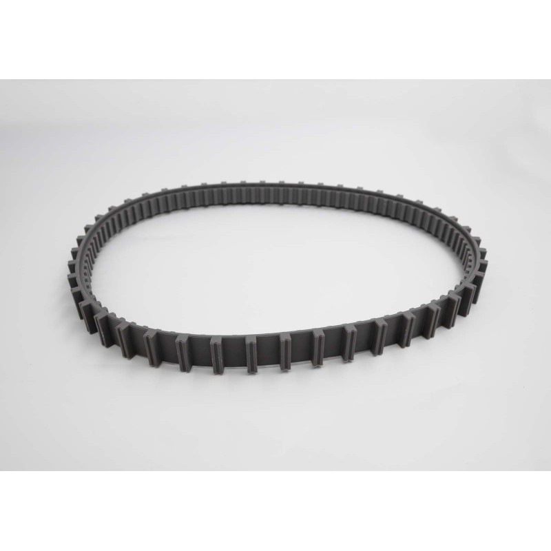 Courroie C pour robot RAPTOR 58481 - SAPHYR 10289