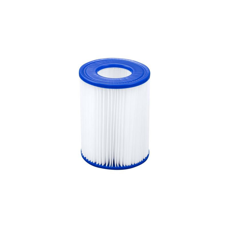 Lot de 2 cartouches de filtration - type II