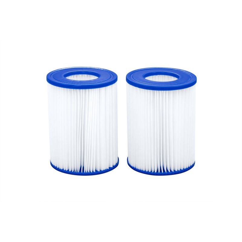 Lot de 2 cartouches de filtration - type II