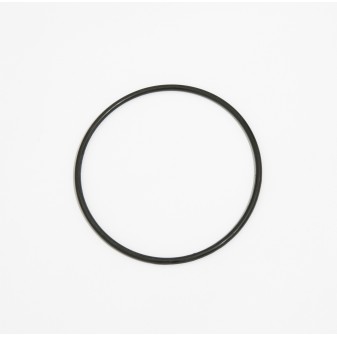 Joint torique de couvercle pour pompe de filtration Flowclear™ Bestway® (58391)