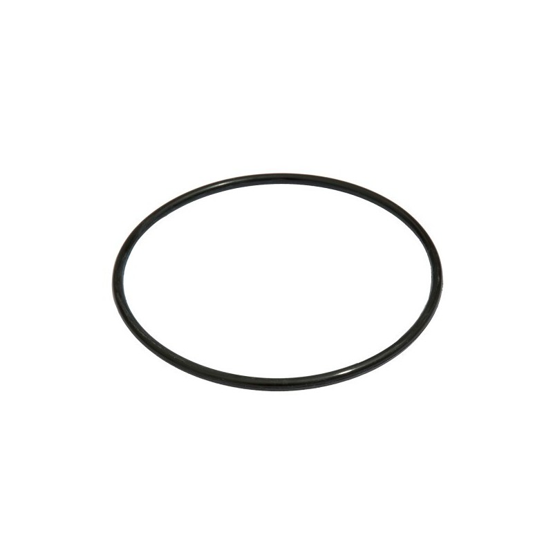 Joint torique de couvercle pour pompe de filtration Flowclear™ Bestway® (58391) Joint torique de couvercle pour pompe de filtration Flowclear™ Bestway® (58391)