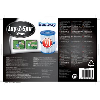 Lot de 2 cartouches de filtration pour spa gonflable Lay-Z-Spa